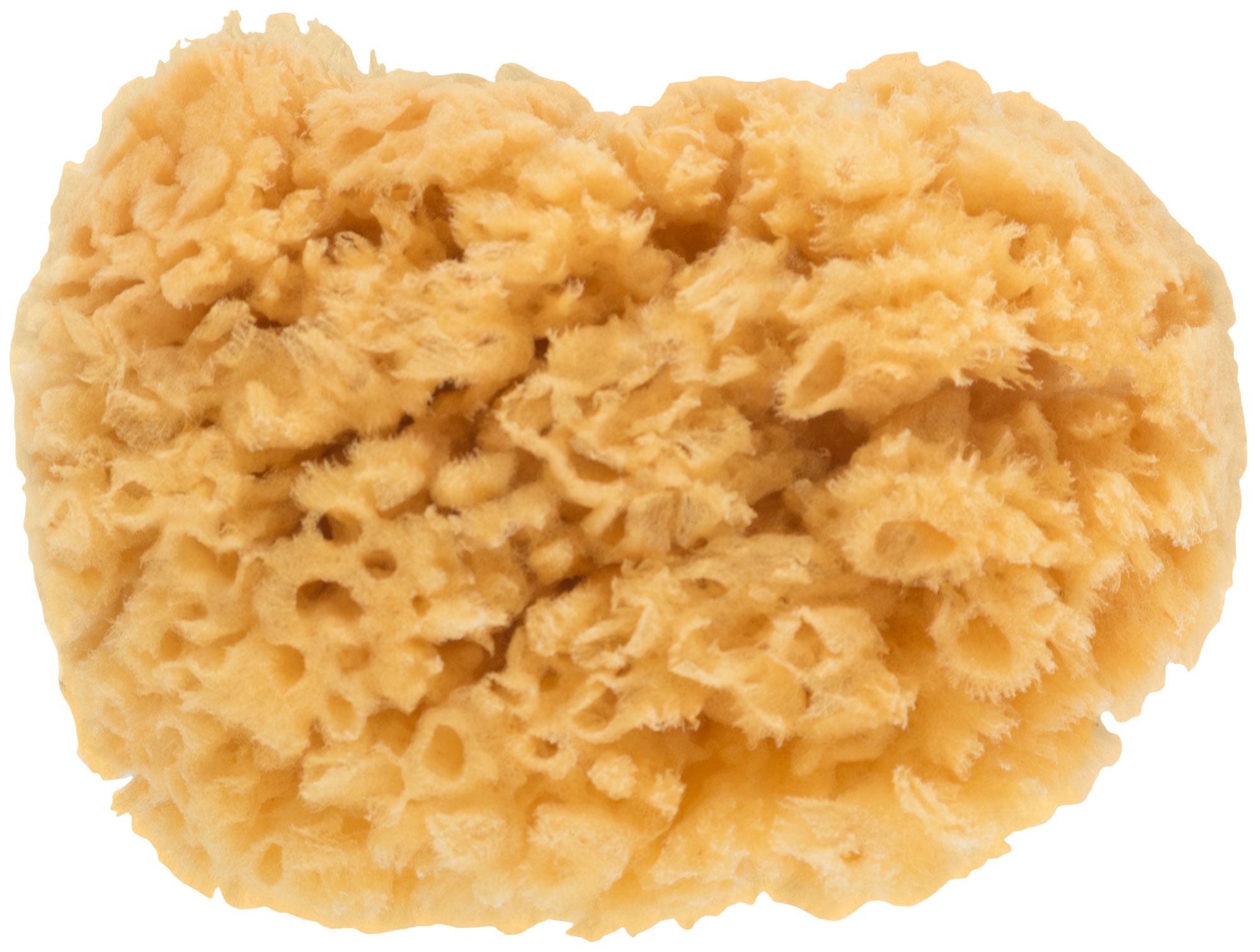 Губка натуральная морская 100х110 мм для декорирования